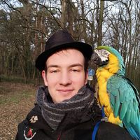 Fotos de Steffen Zenger