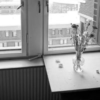 Chinh Nguyen's Photo