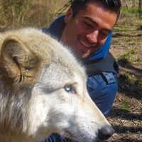 Le foto di Dennis Vink