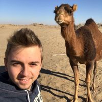 Фотографии пользователя Sven Staub