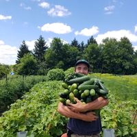 Justin Polgar's Photo