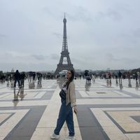 Mays Alizzy的照片