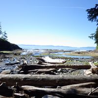 Desriac Swannie的照片