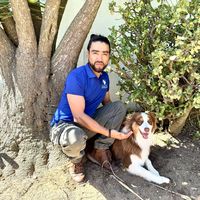 Andrés  Andino's Photo