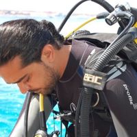 David Youssef的照片