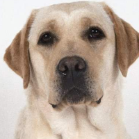 Kamal  Kumar Das's Photo