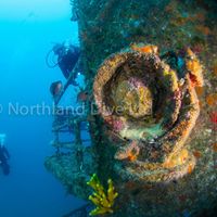 David  Garrett的照片