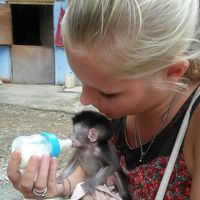 Hanna Marwitz的照片