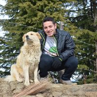 Fotos de David Thabet