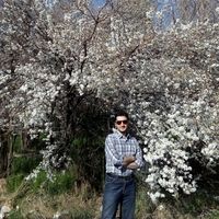 mohammad yazdiyan的照片