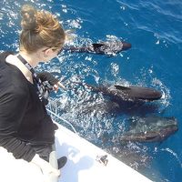 Fotos von marine Desprez