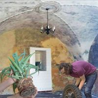 Jah Fusiecki的照片