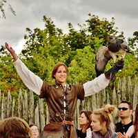 Nanou Norton's Photo