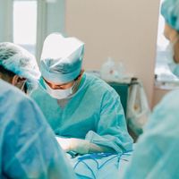 Wassim Simo的照片