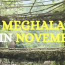 Foto de Meghalaya Trip | Post Diwali '24 | 4th-12th Nov