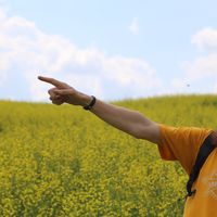 Roman Shamanin's Photo