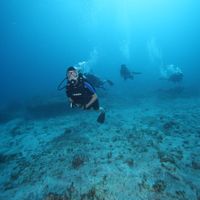 Luciana Lopes's Photo