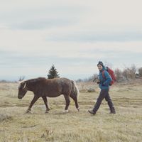 Hung Nguyen的照片