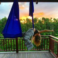 Fotos de Nicolette Shasky