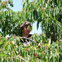 Simon Streicher's Photo