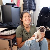 Mina Mirazic的照片