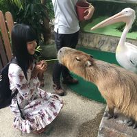 Chihlin Chang的照片