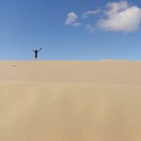 Scott Wilson's Photo