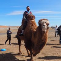 sushil adhikari's Photo