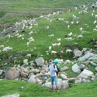 Victor Barrado's Photo