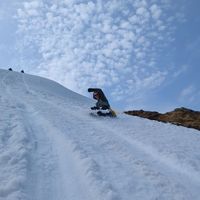 Jonah  Barkley's Photo