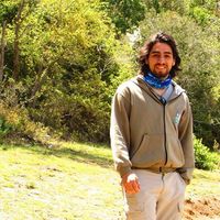 Pedro Candia的照片