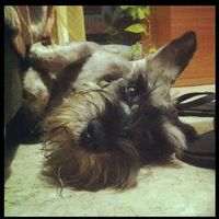 Fotos de Kike Gregori