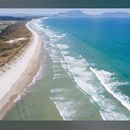 Ruakaka Beach Picnic 's picture