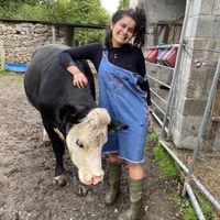 Gabriela Bueno的照片