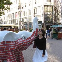 Mihaela  Iorga's Photo