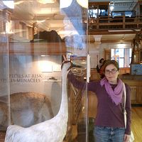 Fotos de Cristina Moya