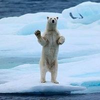 Steve Coleman's Photo