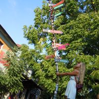 Julia Seifert's Photo