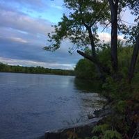 Michael Hamilton's Photo