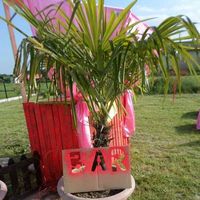 Amandine Ryckewaert's Photo