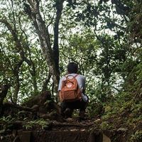 Fotos de Daniel Quinton-Navarro