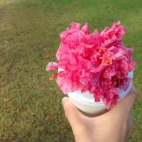 Minnie Jeong's Photo