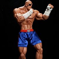 André Toigo的照片