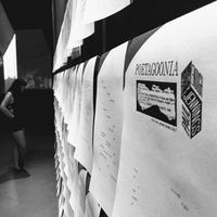 Paloma Martin的照片