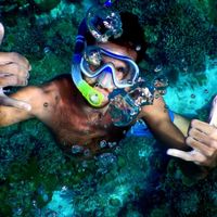 Giovanni Toschi's Photo