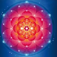 Penelope RONCA的照片