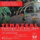 Temazcal 's picture