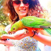 Sarah Phillips's Photo