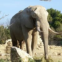 Mehdi Ourabah的照片