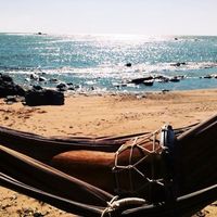 Charlie Aguilar的照片